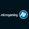 Microgaming（マイクロゲーミング）