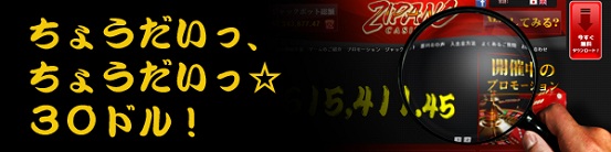 ちょうだいボーナス 現金チップ ☆30ドル☆